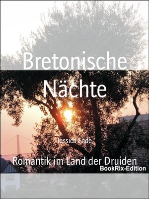 cover image of Bretonische Nächte